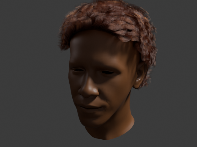 Hair dynamics task reference: swept-back hair at frame 1